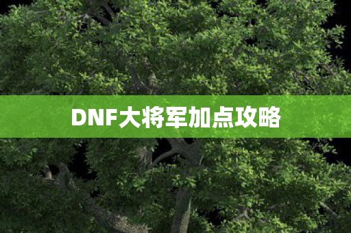 DNF大将军加点攻略图片
