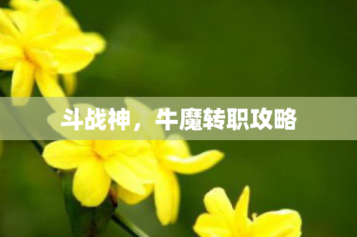 牛魔转职攻略图片