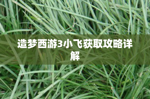 造梦西游3小飞获取攻略详解图片