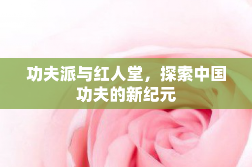 探索中国功夫的新纪元图片