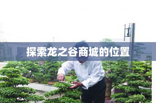 探索龙之谷商城的位置图片