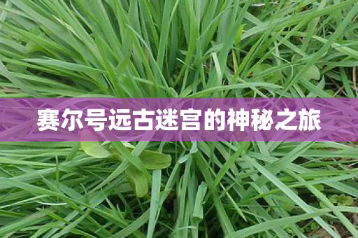 赛尔号远古迷宫的神秘之旅图片