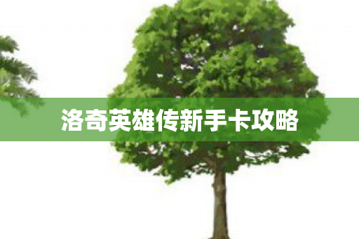 洛奇英雄传新手卡攻略图片