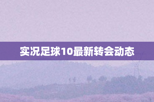 实况足球10最新转会动态图片