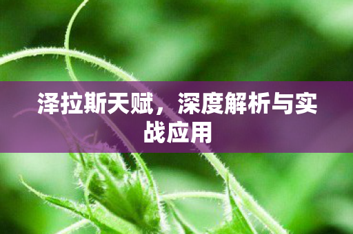 深度解析与实战应用图片