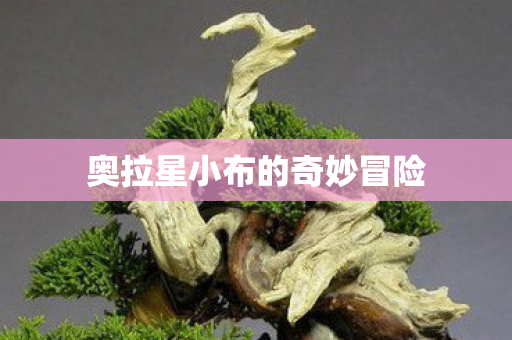 奥拉星小布的奇妙冒险图片