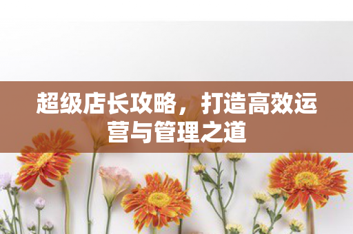 打造高效运营与管理之道图片