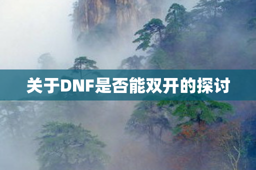关于DNF是否能双开的探讨图片