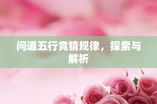 问道五行竞猜规律图片