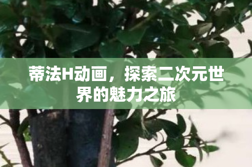 探索二次元世界的魅力之旅图片
