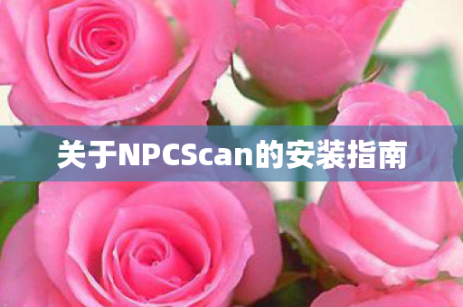 关于NPCScan的安装指南图片