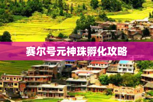 赛尔号元神珠孵化攻略图片