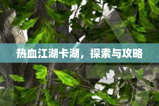 热血江湖卡湖图片