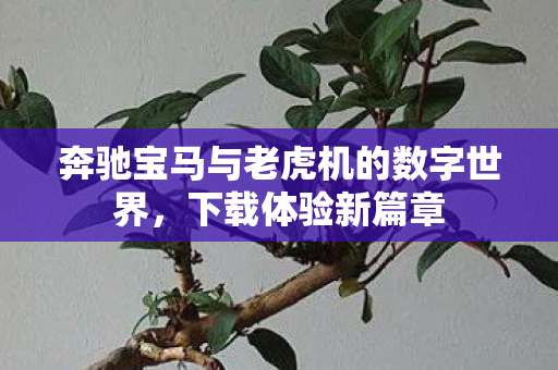奔驰宝马与老虎机的数字世界图片