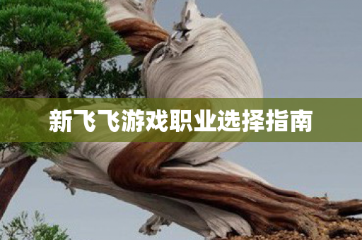 新飞飞游戏职业选择指南图片