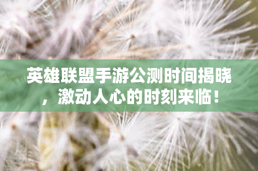 英雄联盟手游公测时间揭晓图片