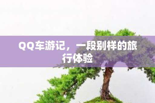 一段别样的旅行体验图片