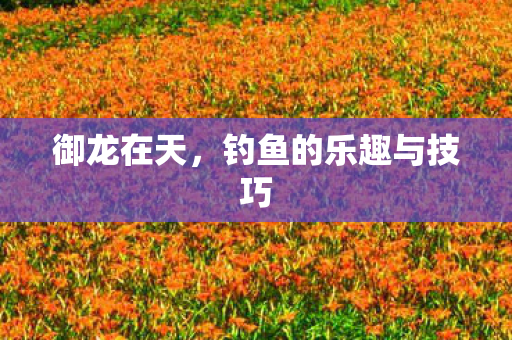 钓鱼的乐趣与技巧图片