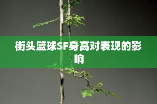 街头篮球SF身高对表现的影响图片