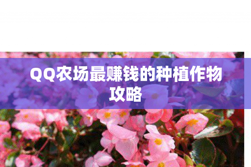 QQ农场最赚钱的种植作物攻略图片