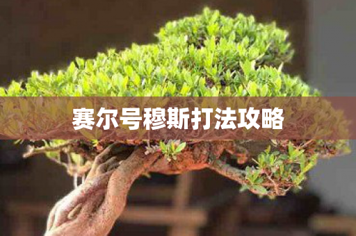 赛尔号穆斯打法攻略图片