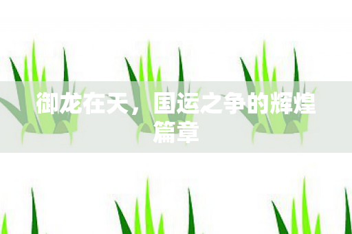 国运之争的辉煌篇章图片