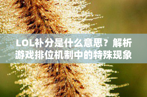 解析游戏排位机制中的特殊现象图片