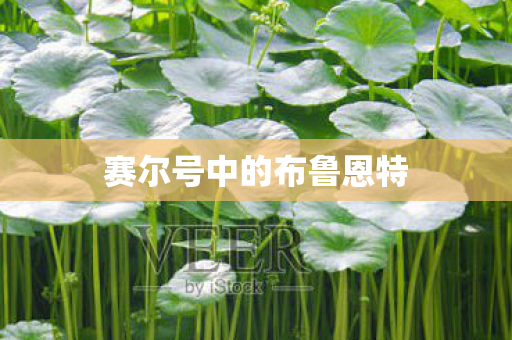 赛尔号中的布鲁恩特图片