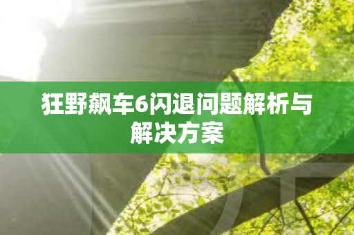 狂野飙车6闪退问题解析与解决方案图片