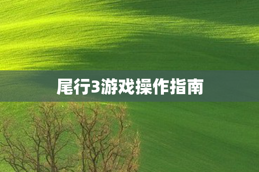 尾行3游戏操作指南图片