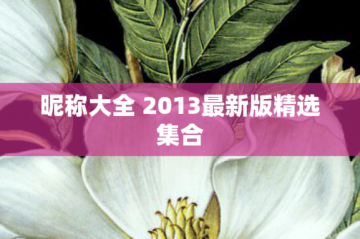 昵称大全 2013最新版精选集合图片