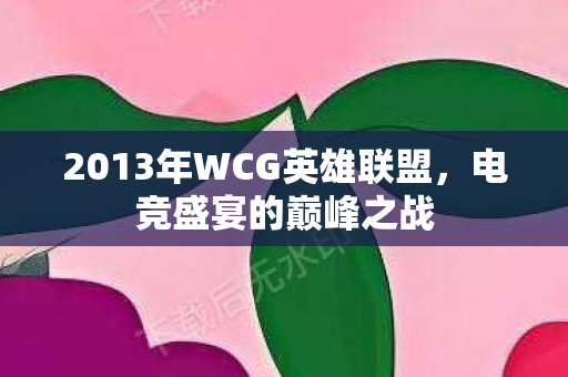 2013年WCG英雄联盟图片