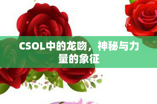 CSOL中的龙吻图片