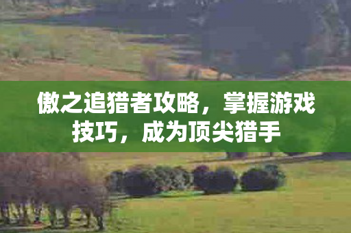 傲之追猎者攻略图片