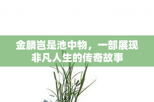 一部展现非凡人生的传奇故事图片