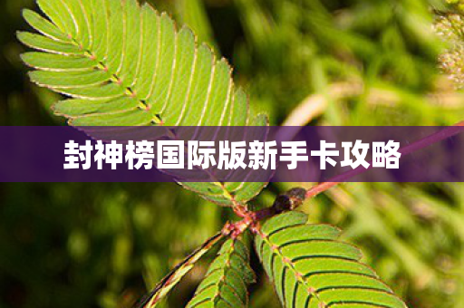 封神榜国际版新手卡攻略图片