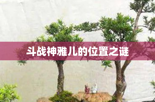 斗战神雅儿的位置之谜图片
