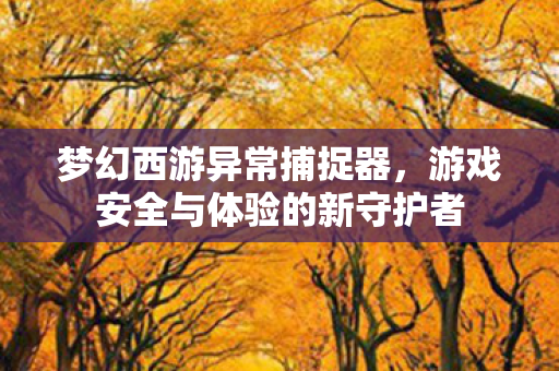 游戏安全与体验的新守护者图片
