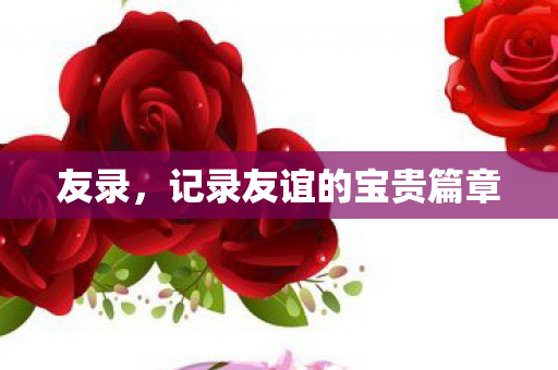 记录友谊的宝贵篇章图片