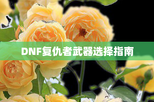 DNF复仇者武器选择指南图片