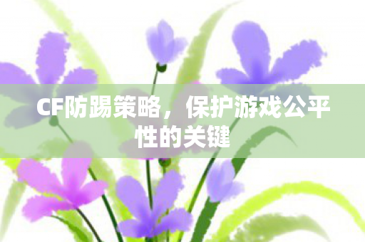 保护游戏公平性的关键图片