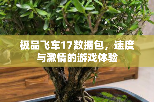 速度与激情的游戏体验图片