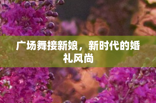 新时代的婚礼风尚图片