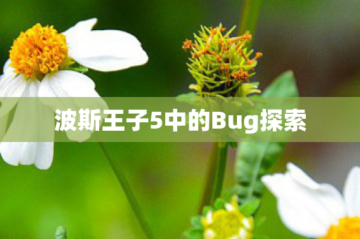 波斯王子5中的Bug探索图片