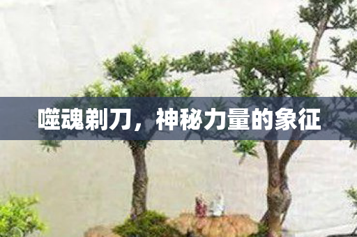 神秘力量的象征图片