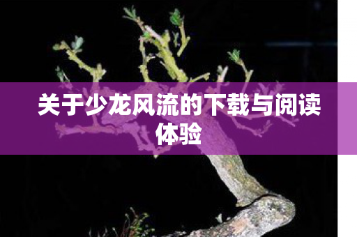 关于少龙风流的下载与阅读体验图片
