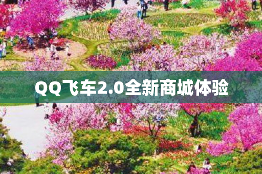 0全新商城体验图片