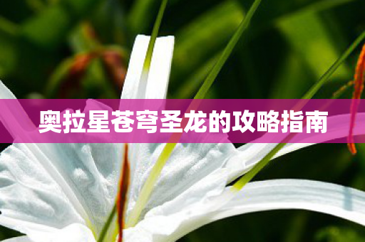 奥拉星苍穹圣龙的攻略指南图片