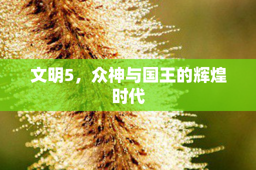 众神与国王的辉煌时代图片