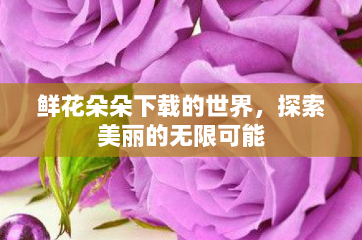 鲜花朵朵下载的世界图片